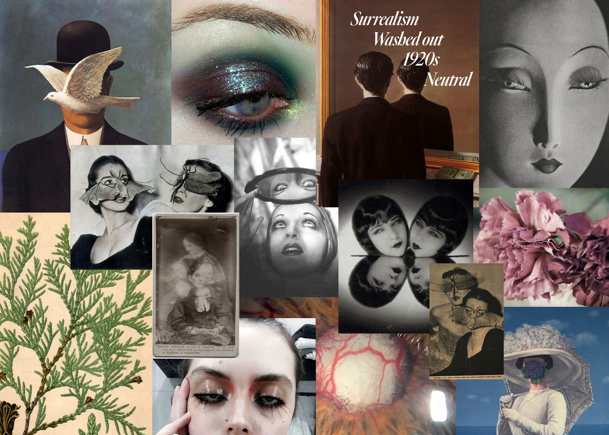 Moodboard with images of Magritte's paintings, surrealist photography using mirrors, eye makeup inspiration, an image of mauve carnation and of a cypress leaf.